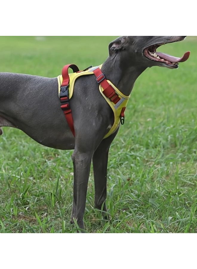 Earth Green XL قطعتين مجموعة صدرية للحيوانات الأليفة مع حبل مضاد للضياع أساسيات المشي للكلاب - Image 4